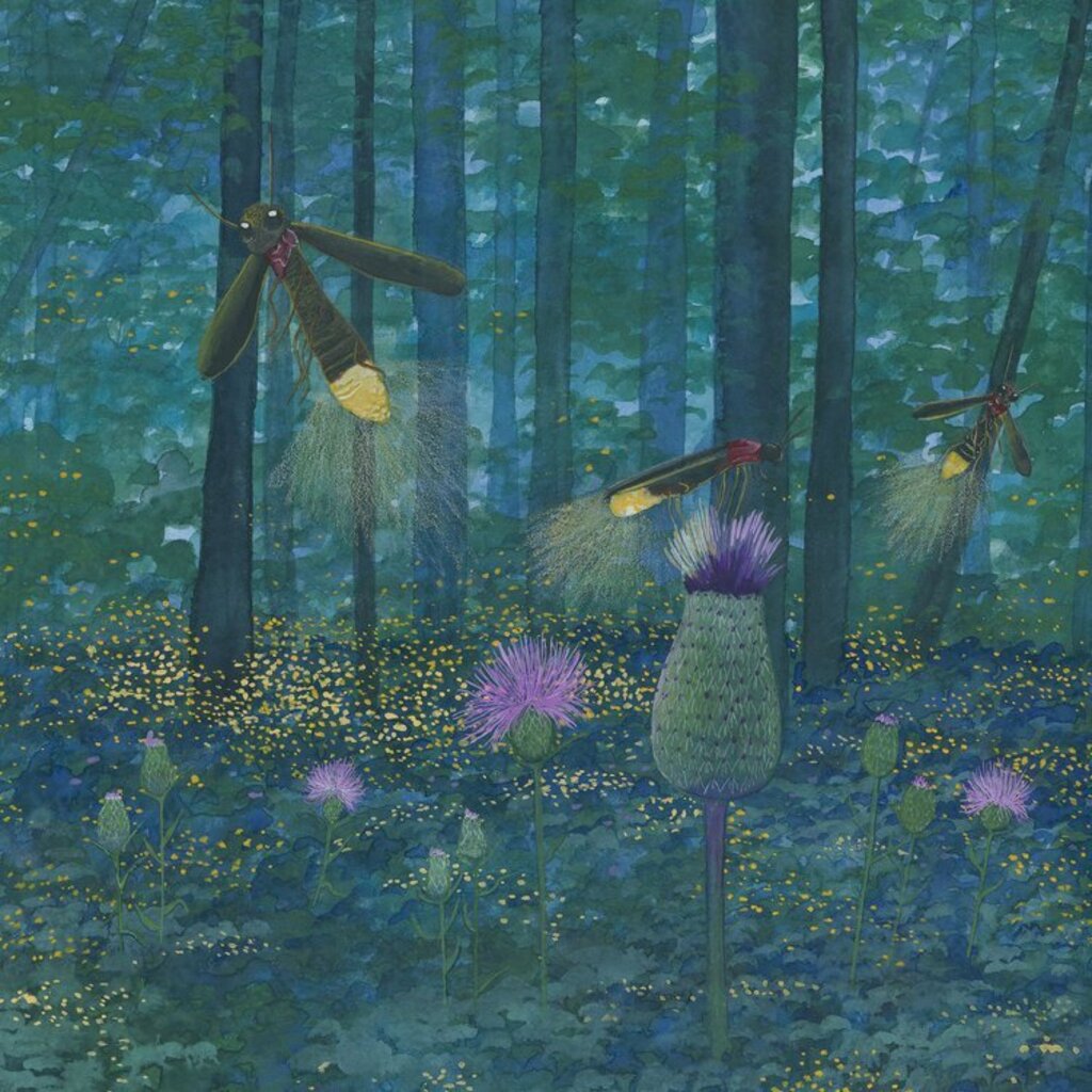 Pocket Print: Firefly Flight