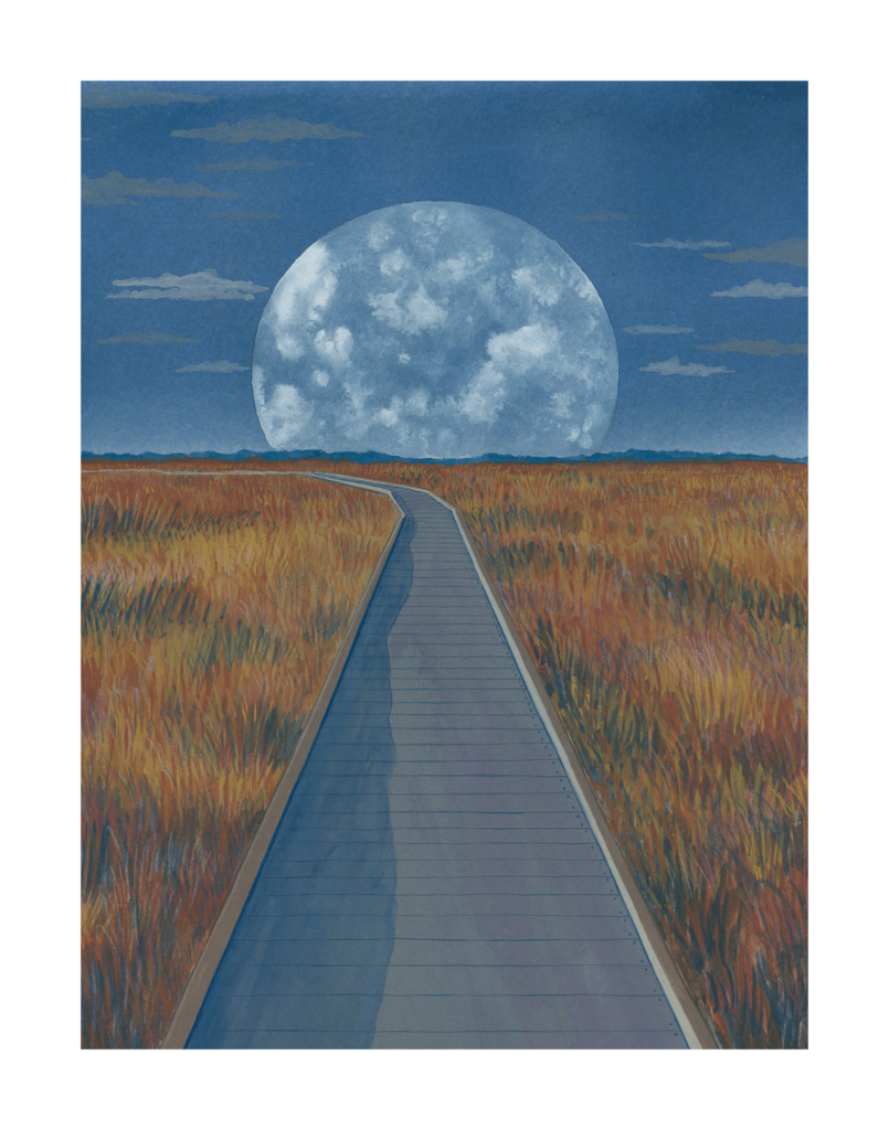 Moon Walk