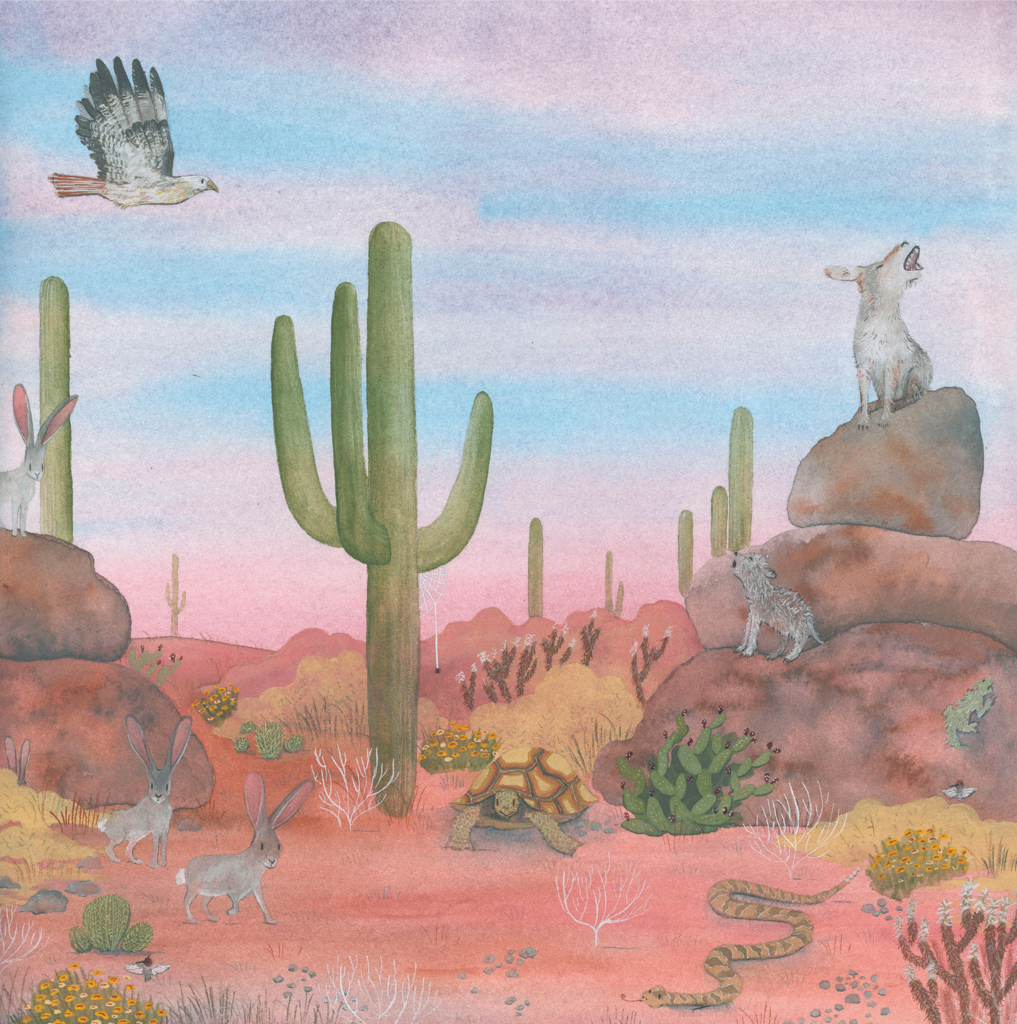 Pocket Print: Saguaro National Park