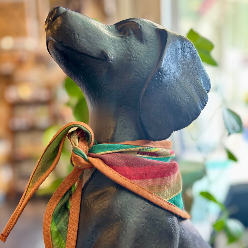 Serape Pet Bandana