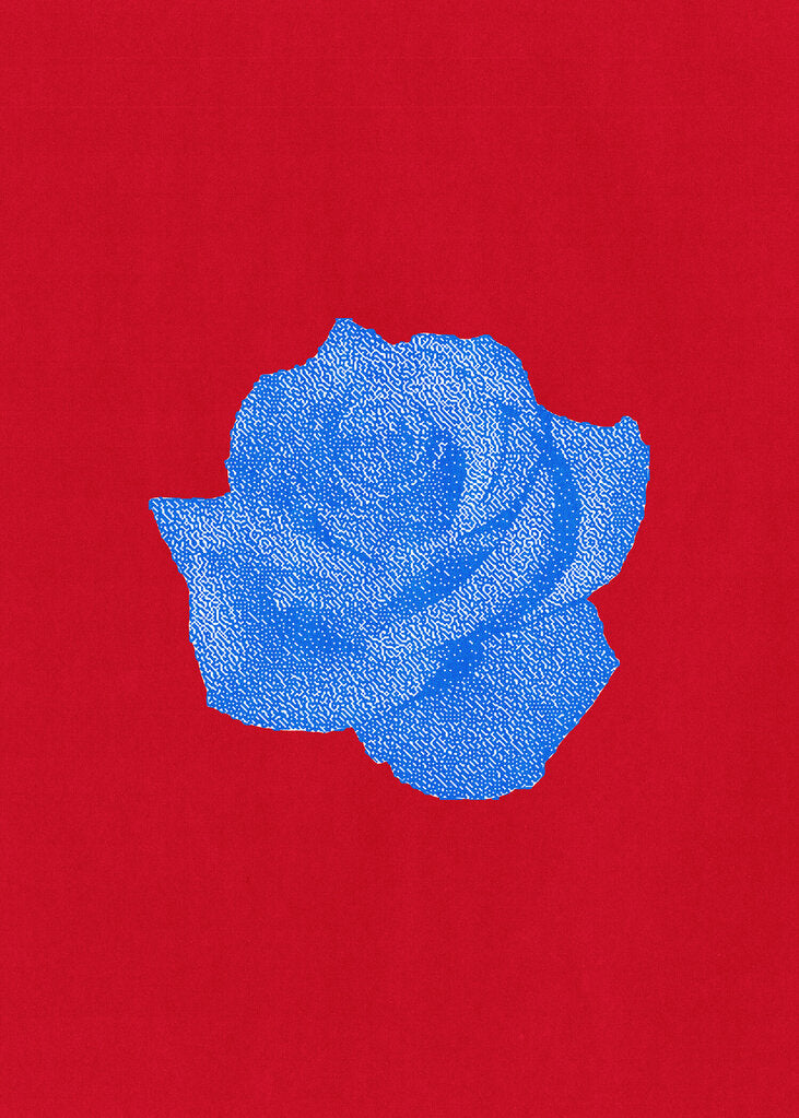 Blue Rose
