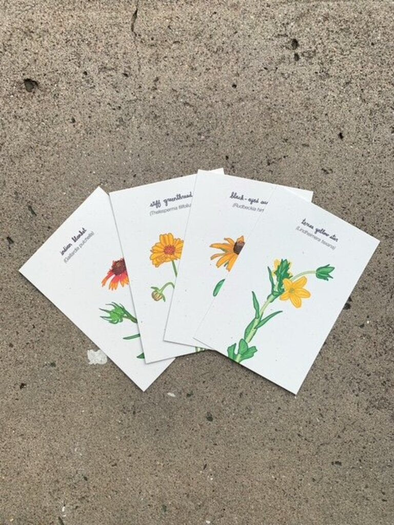 Wildflower Mini Prints Set of 8