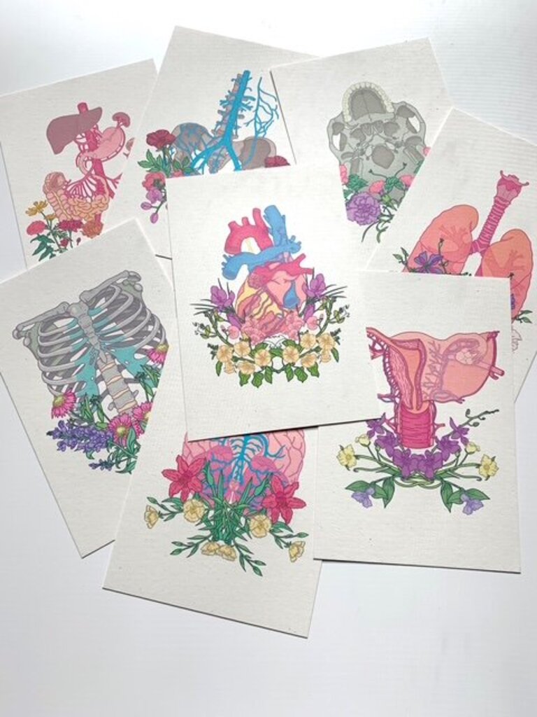 Anatomy Mini Prints Set of 8