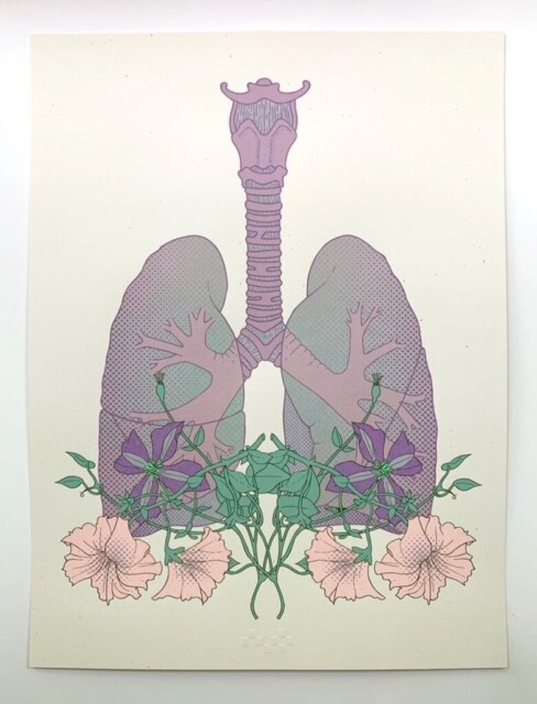 Bifurcation III: Creation is Destruction