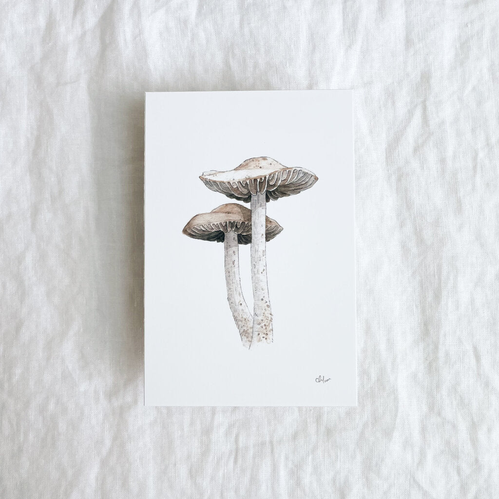 Fairy Ring Mushroom Mini Print