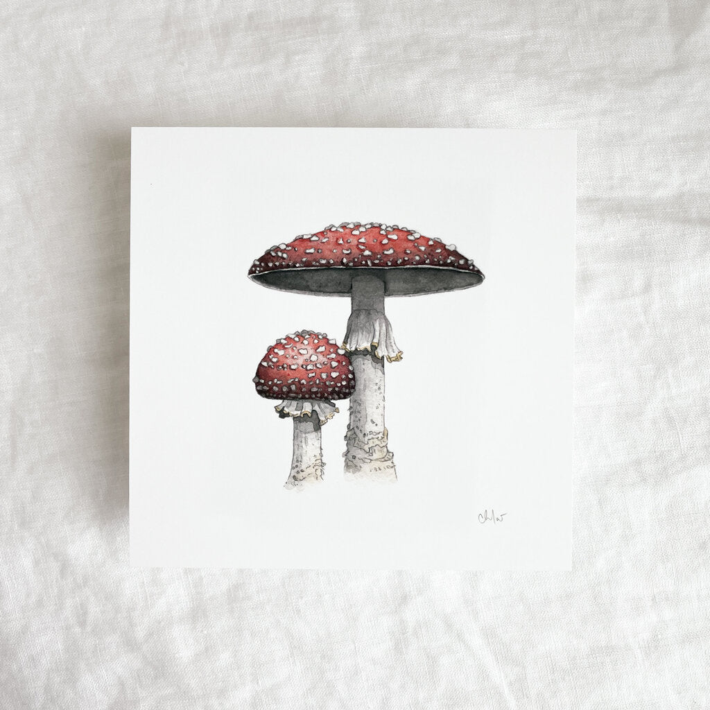 Fly Agaric Mushrooms