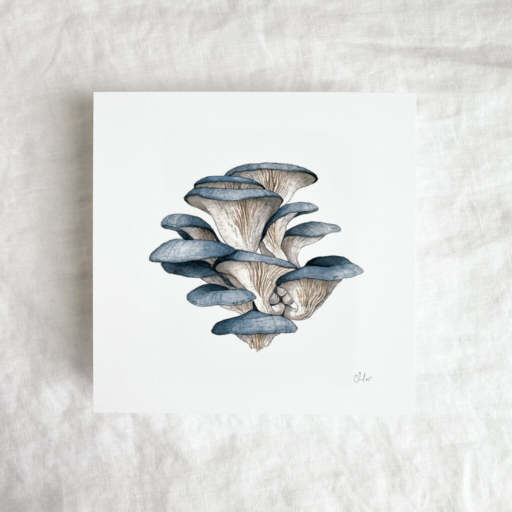 Blue Oyster Mushrooms