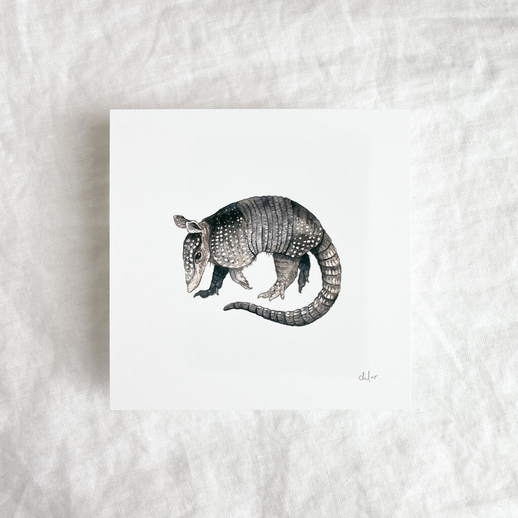 Armadillo