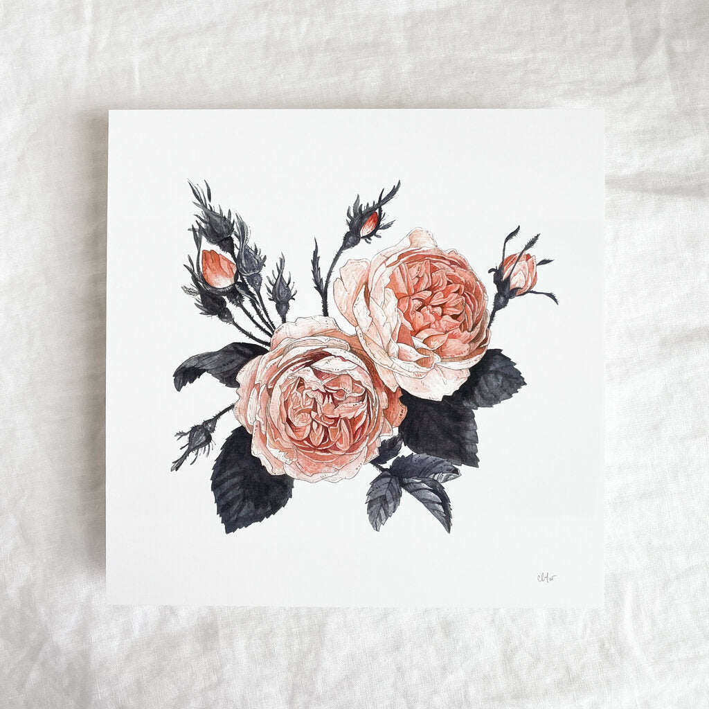 Garden Rose