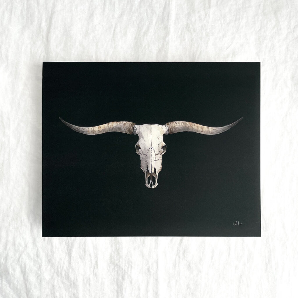 Texas Longhorn Skull