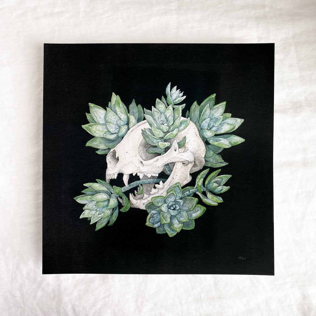 Cat Skull with Succulents