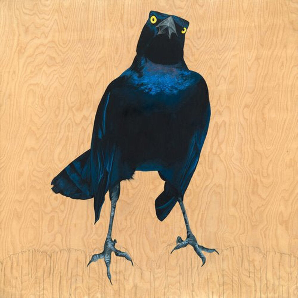 Terry Grackle Print