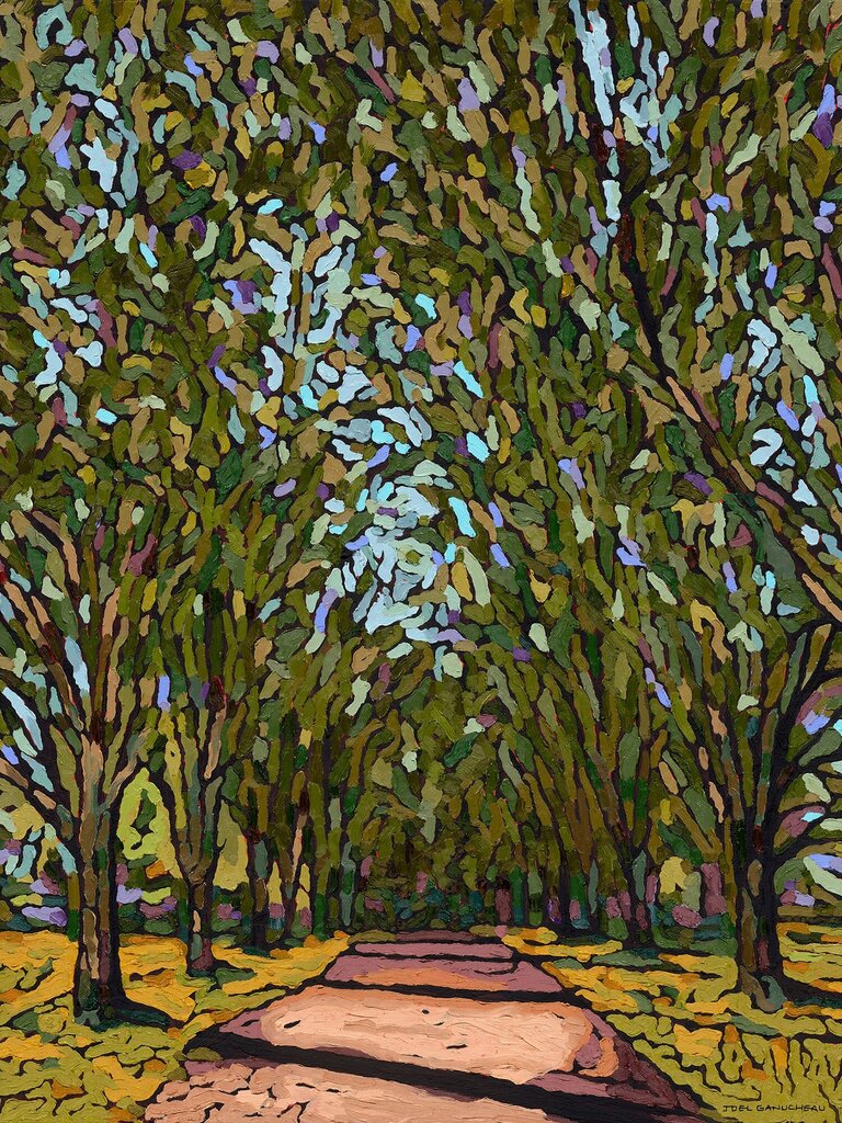 Tree Lined Drive
