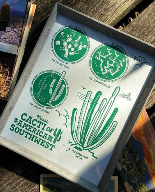 Notable Cacti of the American Southwest Print