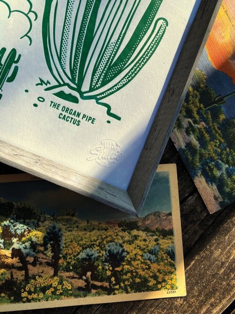 Notable Cacti of the American Southwest Print
