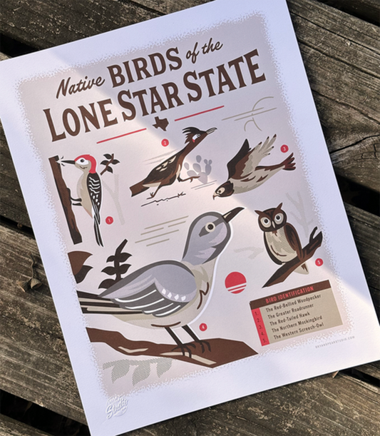 Native Birds of the Lone Star State Print