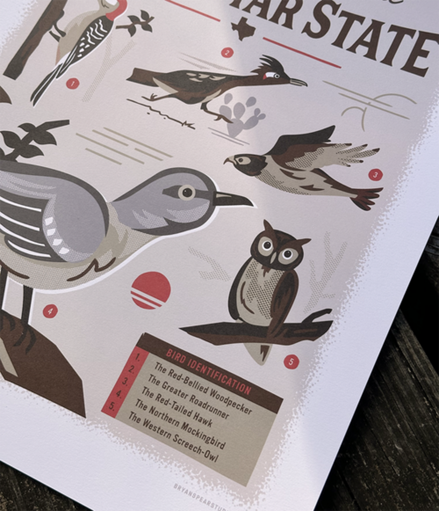 Native Birds of the Lone Star State Print