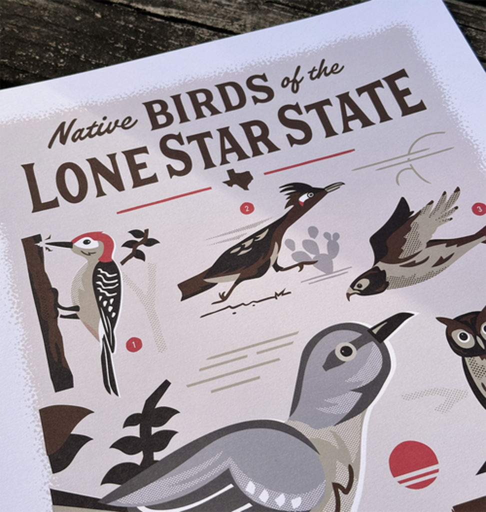 Native Birds of the Lone Star State Print