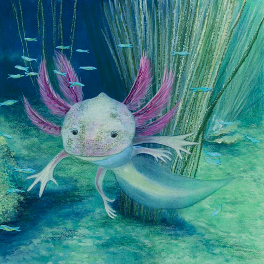Pocket Print: Axolotl
