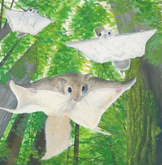 Pocket Print: Flying Squirrel