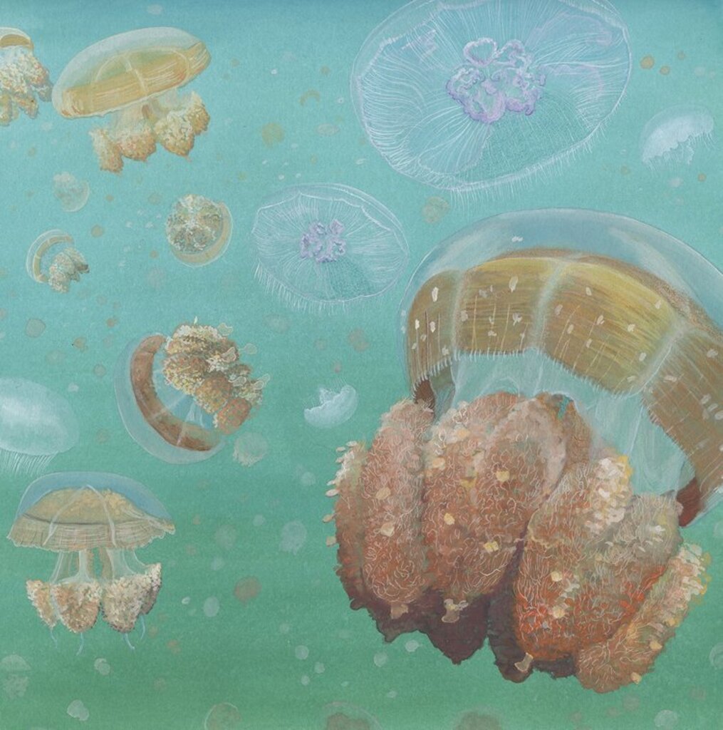 Pocket Print: Jellyfish