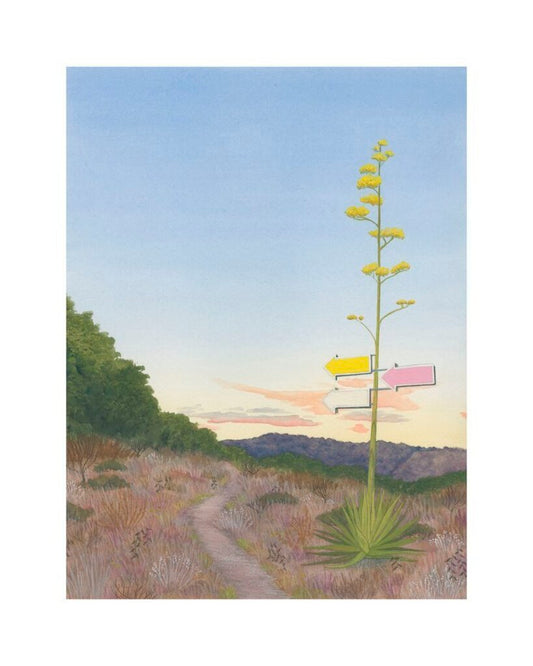 Century Path