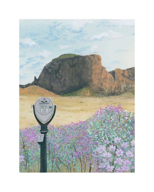 Look Up, Look Out, Look Around