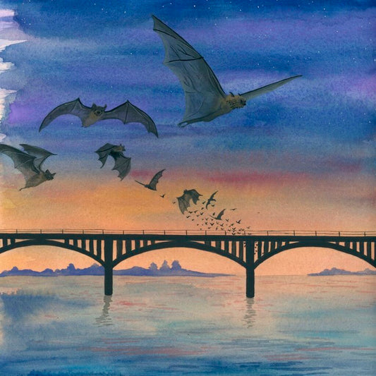 Pocket Print: Austin's Bats