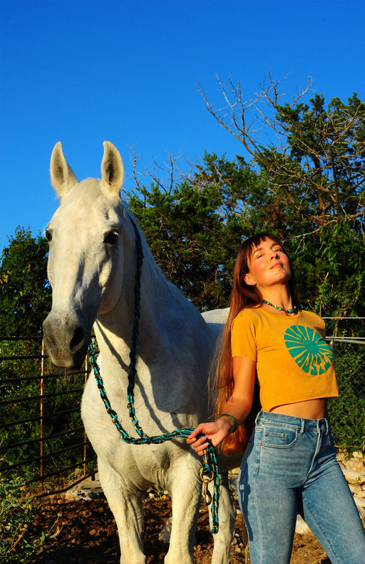 Austin Sun Cropped Tee