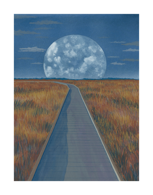 Moon Walk