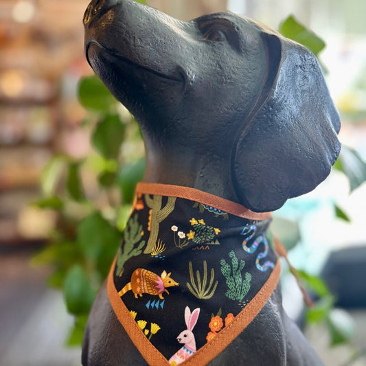 Southwestern Pet Bandana