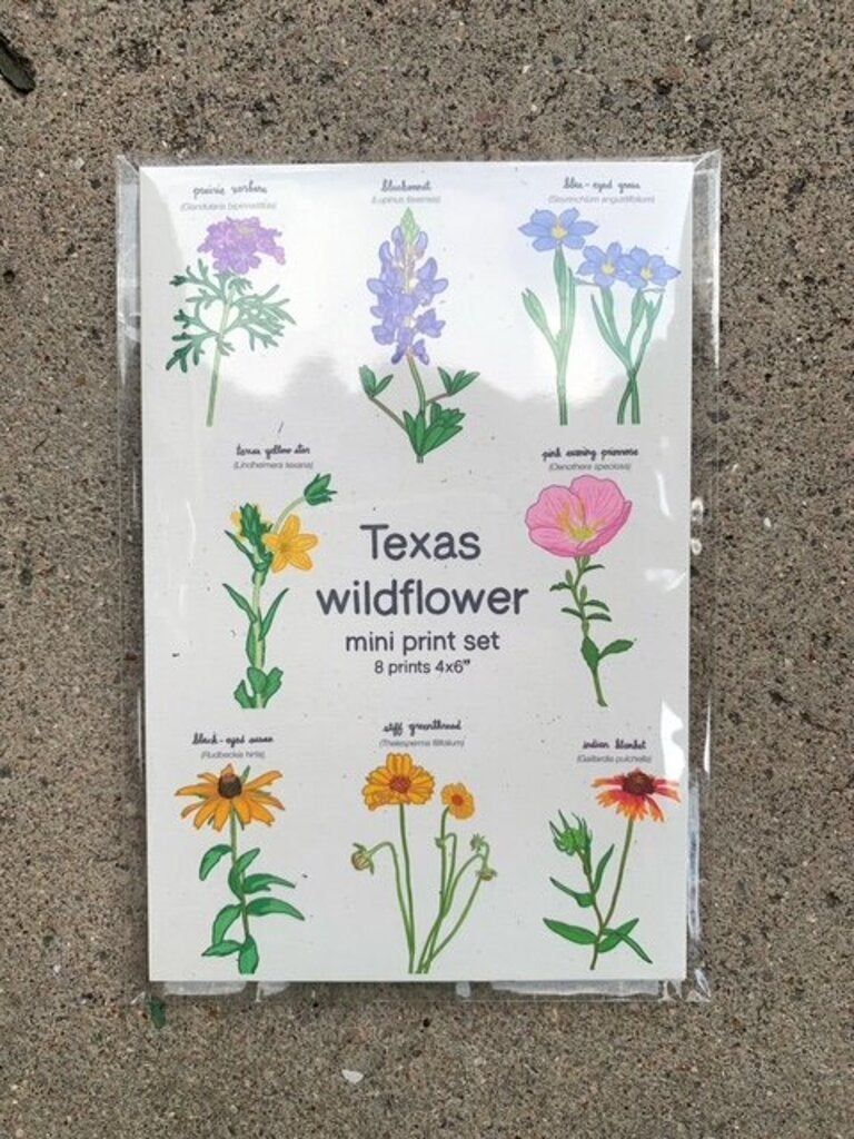 Wildflower Mini Prints Set of 8