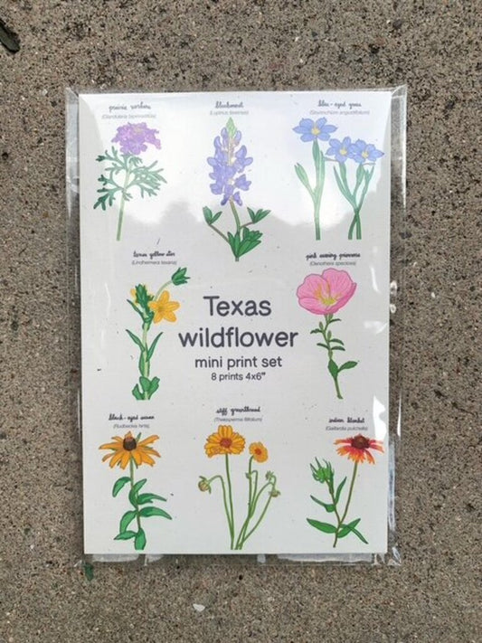 Wildflower Mini Prints Set of 8