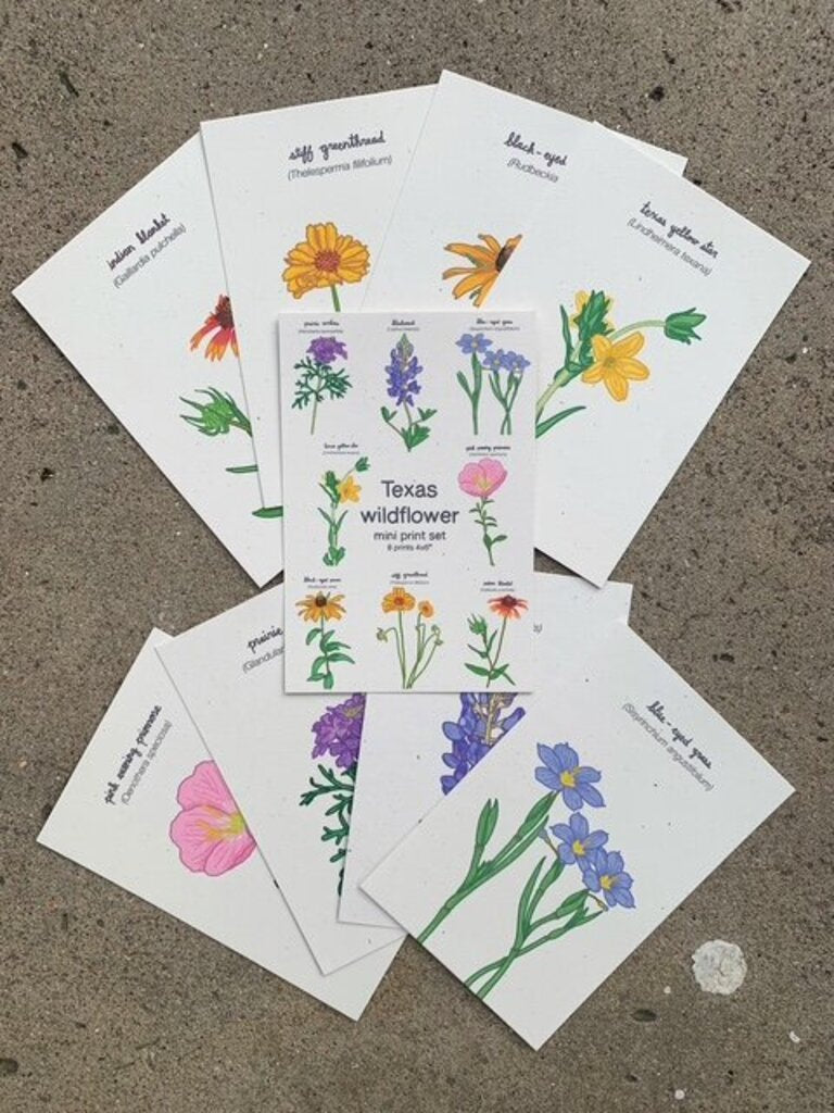 Wildflower Mini Prints Set of 8