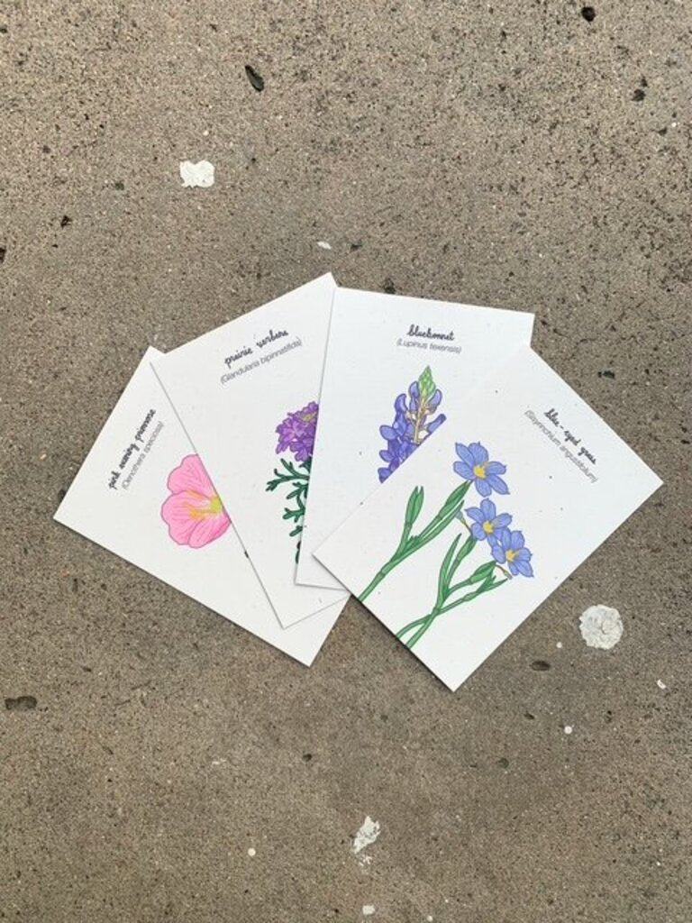 Wildflower Mini Prints Set of 8