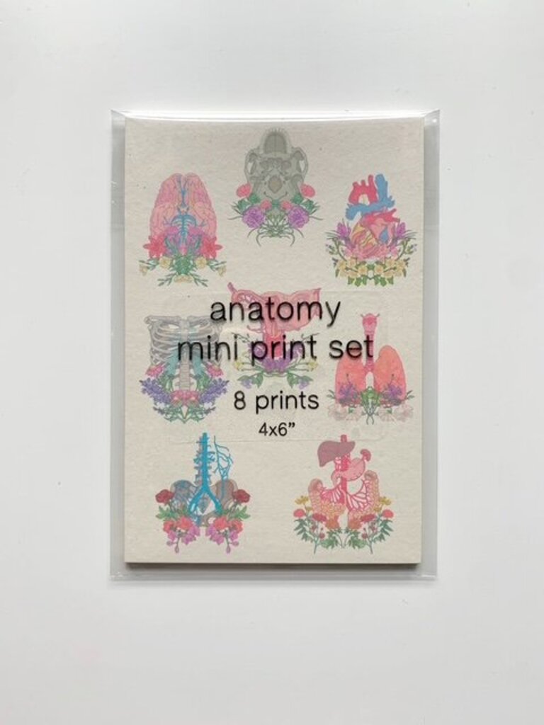 Anatomy Mini Prints Set of 8