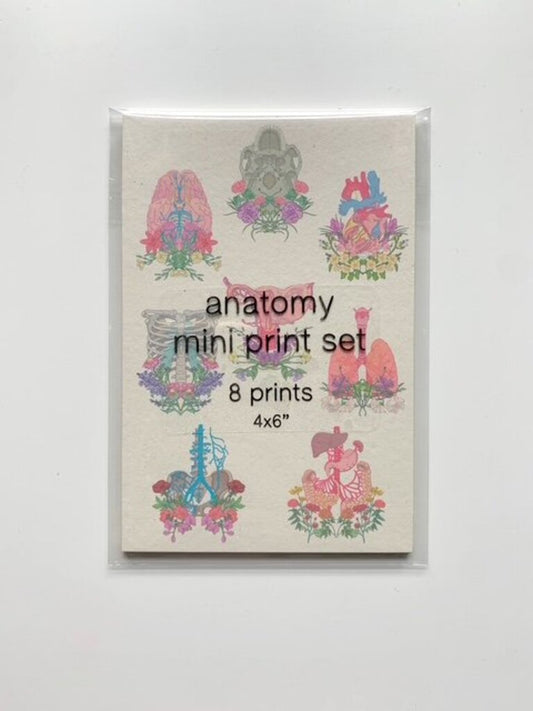 Anatomy Mini Prints Set of 8