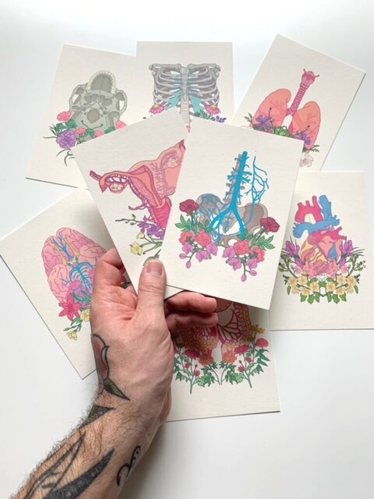 Anatomy Mini Prints Set of 8