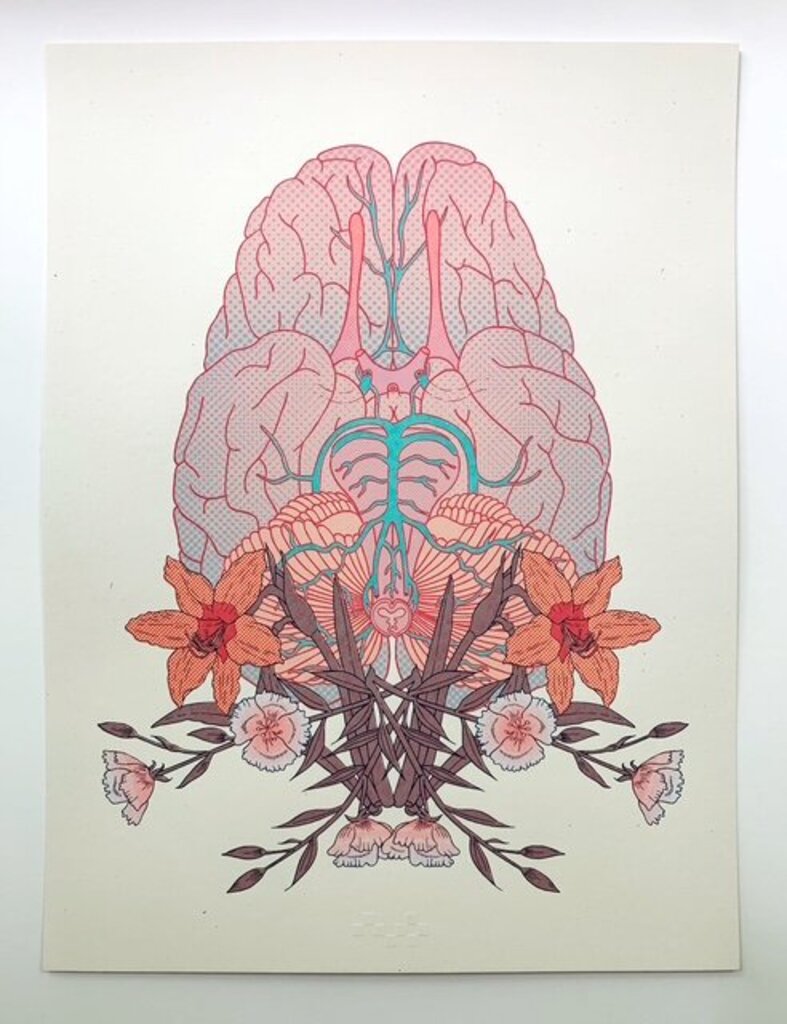 Bifurcation V: The Beginning is the End