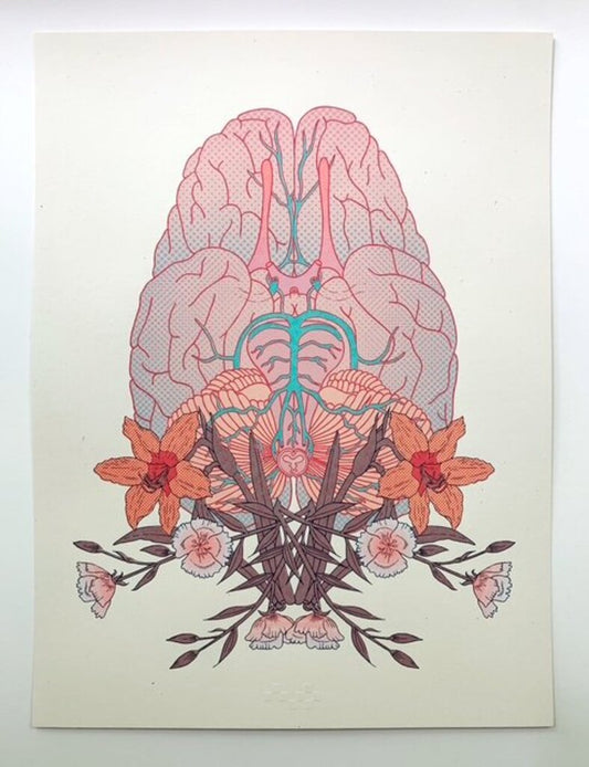 Bifurcation V: The Beginning is the End