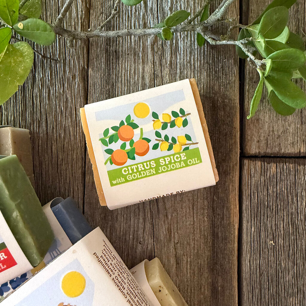 Citrus Spice Mini Soap Bar