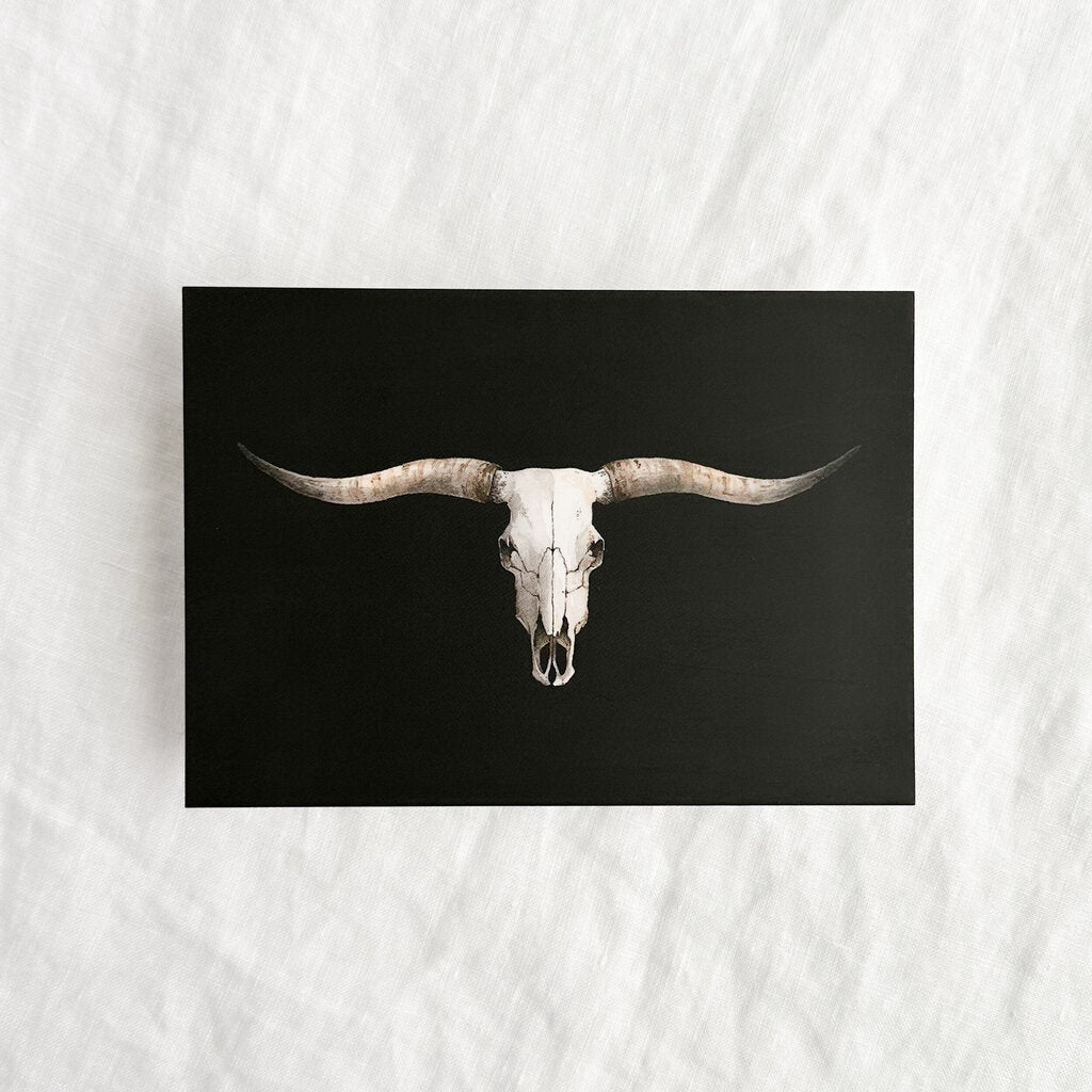 Texas Longhorn Skull Postcard