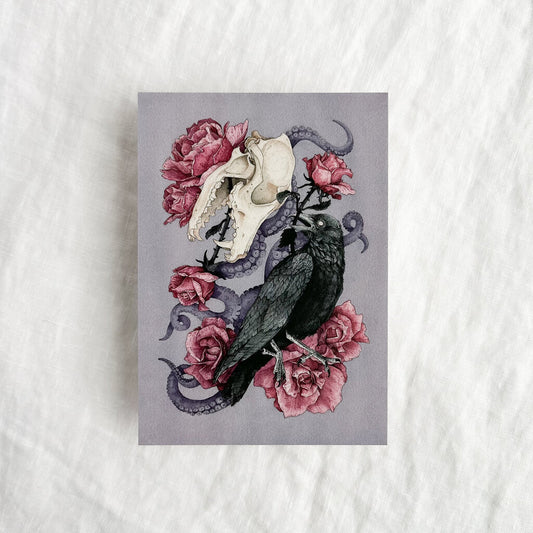 Shadow Postcard