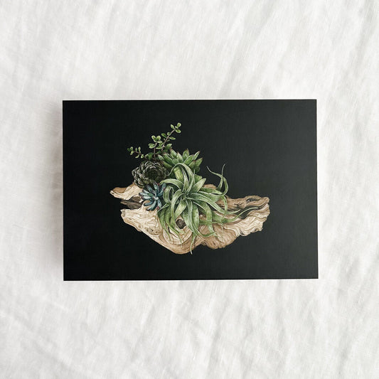 Nature Pact Postcard