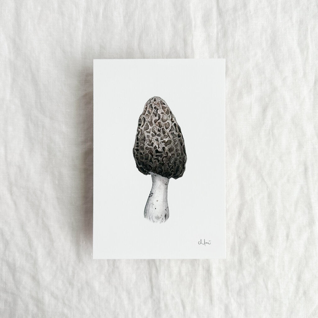 Morel Mushroom Mini Print