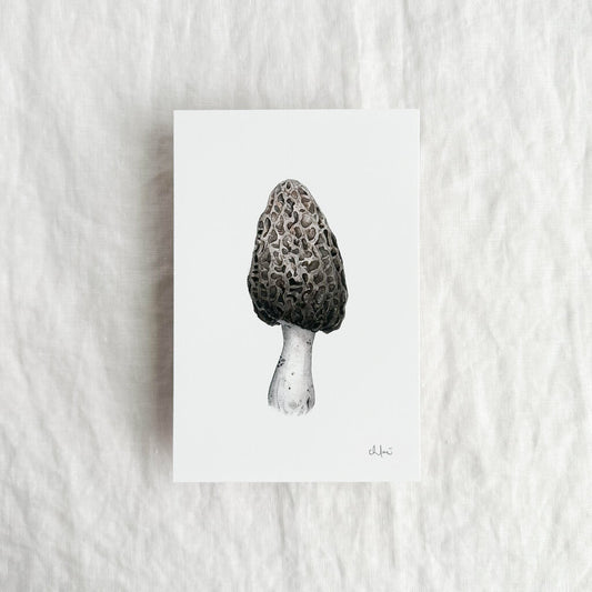 Morel Mushroom Mini Print