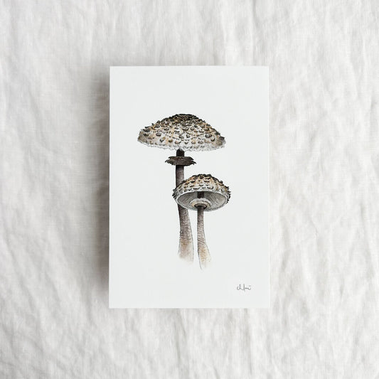 Parasol Mushroom Mini Print