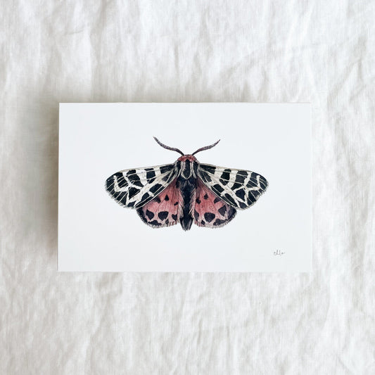Virgin Tiger Moth Mini Print