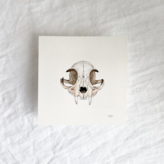Cat Skull