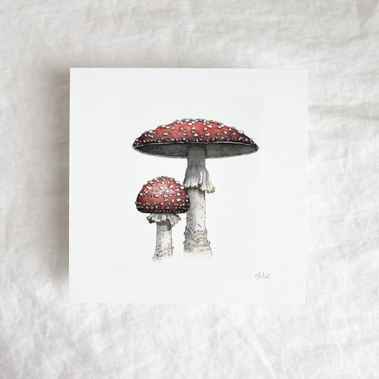 Fly Agaric Mushrooms